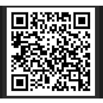 正规炒股配资网